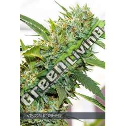 3 UND FEM - VISION KOSHER VISION SEEDS 3 UND FEM