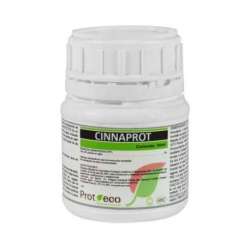 CINNAPROT 100 ML * PROT ECO