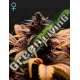 3 UND FEM - DEEP CANDY GREEN HOUSE 3 UND FEMINIZADAS