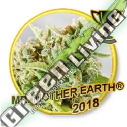 7 UND REG - MR. MOTHER EARTH MR. HIDE SEEDS 7 UND REG