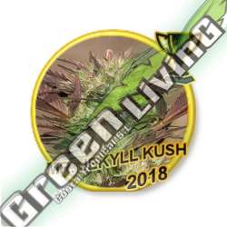 7 UND REG - MR. JEKYLL KUSH MR. HIDE SEEDS 7 UND REG