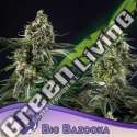 3 UND FEM - BIG BAZOOKA ANESIA SEEDS 3 FEMINIZADAS