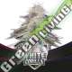 4 UND FEM - WHITE GORILLA - DRAFT LINE BSF SEEDS 4 UND FEMINIZADAS