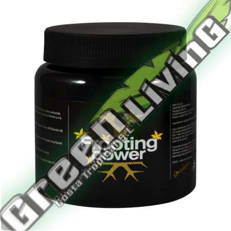 FROOTING POWER 325GR FERTILIZANTES B.A.C.