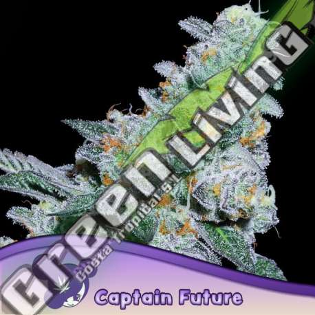 3 UND FEM - CAPTAIN FUTURE ANESIA SEEDS 3 FEMINIZADAS