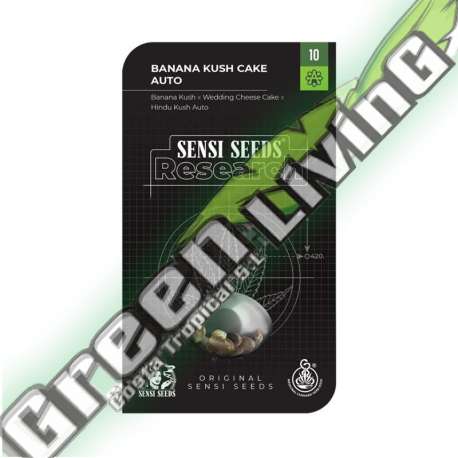 5 UND FEM - BANANA KUSH CAKE AUTOMATICA SENSI SEEDS RESEARCH FEMINIZADA 5 UND
