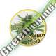 7 UND REG - MR BIG CANDY (USA STRAINS) MR. HIDE SEEDS 7 UND REG