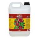 RIPEN 5 L. * GENERAL HIDROPONICS