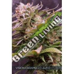 10 UND FEM - VISION CARAMELLO AUTO VISION SEEDS 10 UND FEMINIZADA