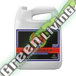 PH PERFECT CONNOISSEUR BLOOM PART A 4L ADVANCED NUTRIENTS
