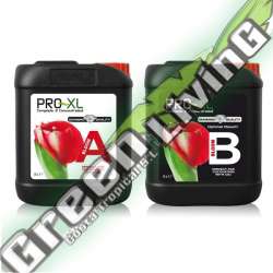 BLOOM A&B 5L FERTILIZANTES PRO-XL