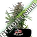 10 UND FEM - AUTO AMNESIA US SKUNKX SEEDS 10 UND FEMINIZADAS