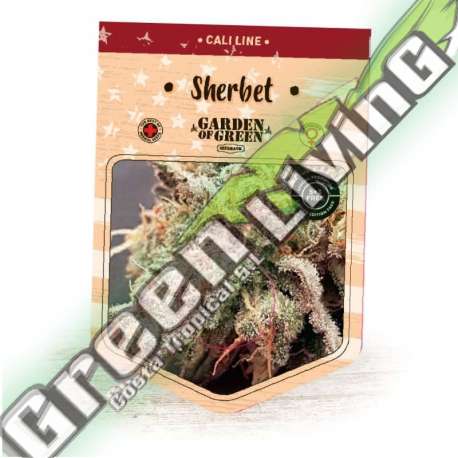 10 UND FEM - SHERBET GARDEN OF GREEN 10 UND FEMINIZADAS