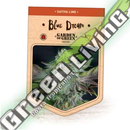 10 UND FEM - BLUE DREAM GARDEN OF GREEN 10 UND FEMINIZADAS