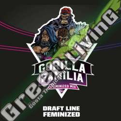 12 UND FEM - GORILLA FAMILIA FEMINIZED MIX - DRAFT LINE BSF SEEDS 12 UND FEMINIZADAS