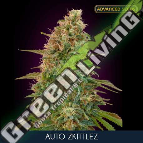 25 UND FEM - AUTO ZKITTLEZ ADVANCED SEEDS 25 UND FEM