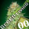 25 UND FEM - AUTO SWEET CRITICAL 00SEEDS 25 UND FEMINIZADAS