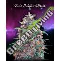 25 UND FEM - AUTO PURPLE DIESEL ADVANCED SEEDS 25 UND FEM