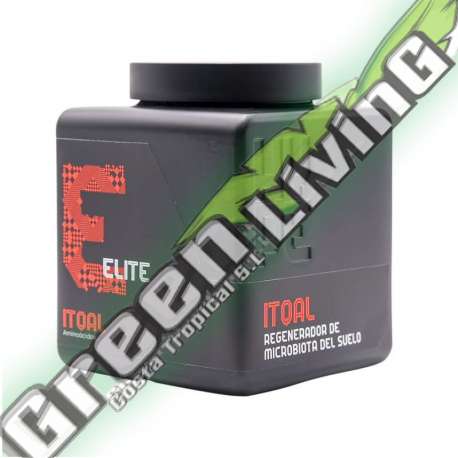 ITQAL 1.25L REGENERADOR DE MICROBIOTA THE HYPE COMPANY