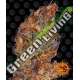 10 UND FEM - RUNTZ AUTO BARNEY'S FARM 10 UND FEMINIZADAS