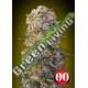 25 UND FEM - SWEET CRITICAL 00SEEDS 25 UND FEMINIZADAS