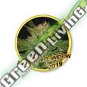 50 UND FEM - AUTO WHITE WIDOW MR. HIDE SEEDS 50 UND FEM