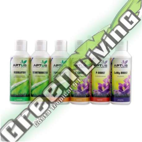 ETIQUETA FRANCESA INDOOR SET PRO 6 X VARIOS APTUS