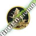 50 UND FEM - MR. MANGO CRACK MR. HIDE SEEDS 50 UND FEM