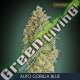 25 UND FEM - AUTO GORILLA BLUE ADVANCED SEEDS 25 UND FEM