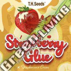 11 UND REG - STRAWBERRY GLUE X SBC T.H. SEEDS 11 UND REGULARES