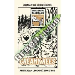 24 UND REG - CREAMY KEES SUPER SATIVA SEED CLUB 24 UND REGULARES