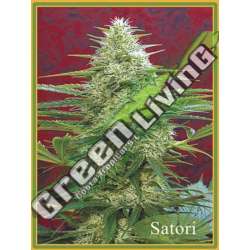 50 UND REG - SATORI MANDALA SEEDS 50 UND REGULARES