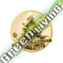 100 UND FEM - MR. GORILLA CREAM MR. HIDE SEEDS 100 UND FEM