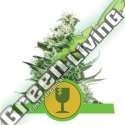 100 UND FEM - ROYAL CRITICAL AUTOMATIC ROYAL QUEEN 100 UND FEMINIZADAS