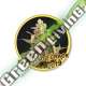 50 UND FEM - MR. MANGO CRACK MR. HIDE SEEDS 50 UND FEM