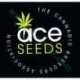 5 UND REG - ETHIOPIA * ACE SEEDS 5 UND REGULARES