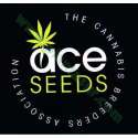 10 UND REG - ETHIOPIA * ACE SEEDS 10 UND REGULARES