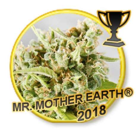 1 UND FEM - MR. MOTHER EARTH * MR. HIDE SEEDS 1 UND FEM