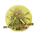 1 UND FEM - MR. SUGAR LEMON HAZE * MR. HIDE SEEDS 1 UND FEM