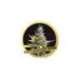 3 UND FEM - AUTO MAZAR BLUE * MR. HIDE SEEDS 3 UND FEM