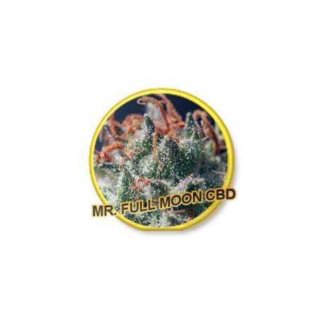 3 UND FEM - FULL MOON CBD * MR. HIDE SEEDS 3 UND FEM