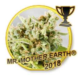 3 UND FEM - MR. MOTHER EARTH * MR. HIDE SEEDS 3 UND FEM