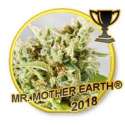 3 UND FEM - MR. MOTHER EARTH * MR. HIDE SEEDS 3 UND FEM