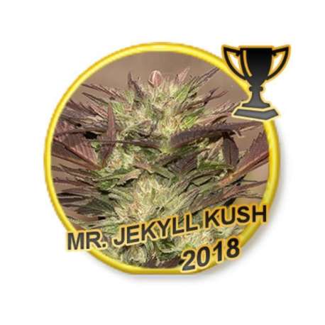 3 UND FEM - MR. JEKYLL KUSH * MR. HIDE SEEDS 3 UND FEM