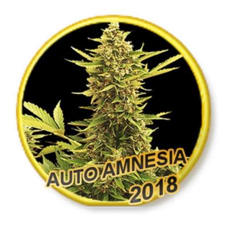 3 UND FEM - AUTO AMNESIA * MR. HIDE SEEDS 3 UND FEM