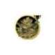 100 UND FEM - MR. EIDEN MASS * MR. HIDE SEEDS 100 UND FEM