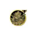 100 UND FEM - MR. EIDEN MASS * MR. HIDE SEEDS 100 UND FEM