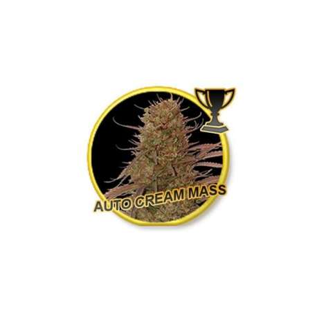 100 UND FEM - AUTO CREAM MASS * MR. HIDE SEEDS 100 UND FEM