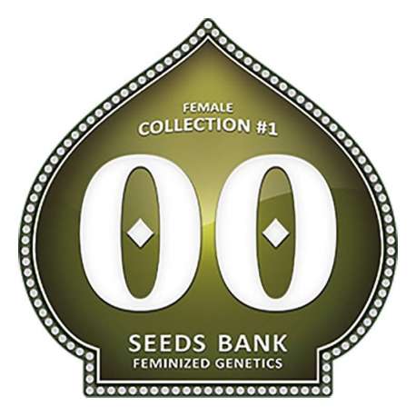 6 UND FEM - FEMINIZED COLLECTION 1 * 00SEEDS 6 UND FEMINIZADAS