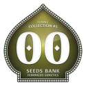 6 UND FEM - FEMINIZED COLLECTION 1 * 00SEEDS 6 UND FEMINIZADAS